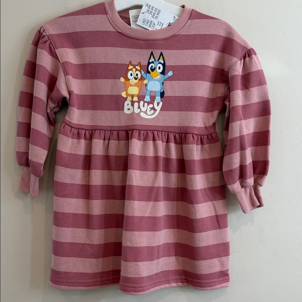 H&M Bluey Pink Striped Kids Long Sleeve Dress Size 4-6Y